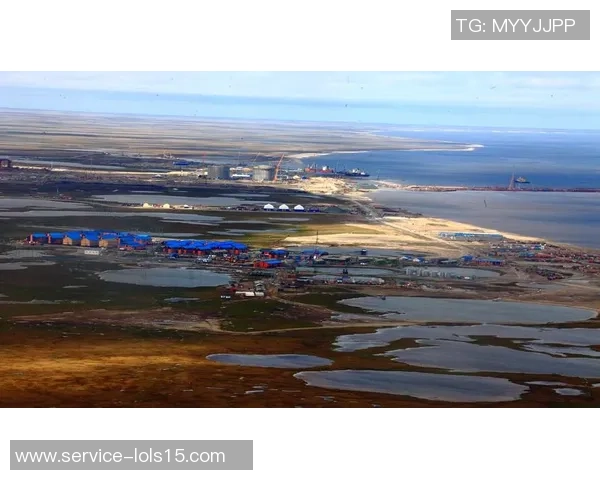 亚马尔地区的能源战略与全球市场的互动分析